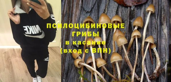 винт Белокуриха